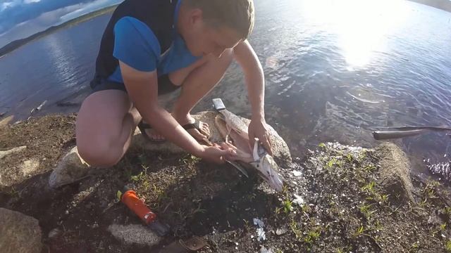 Чистим щуку смотреть онлайн