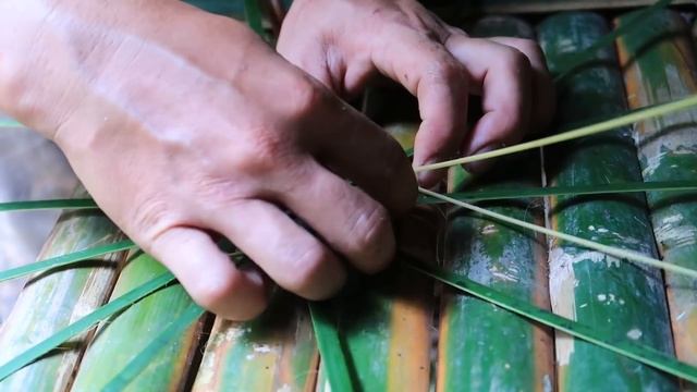 Thử Thách Sinh Tồn Trong Rừng Mưa Một Mình -EP.55 |Survival Alone In The Rainforest