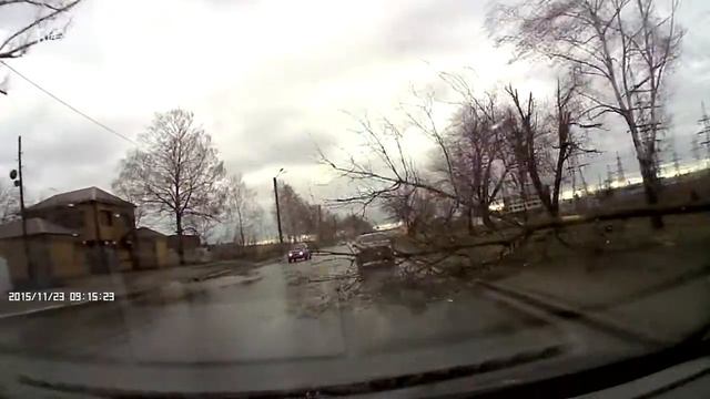 В Казани автомобиль чудом избежал падающего дерева на проезжую часть смотреть онлайн