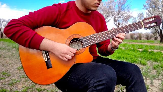 Rema - Calm Down | Guitar Cover In Nature смотреть онлайн