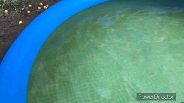 Дружковка//Обработка медным купоросом//Чистим бассейн//дозировка медного купороса. смотреть онлайн