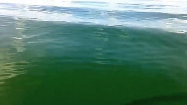 Наш Днепр смотреть онлайн