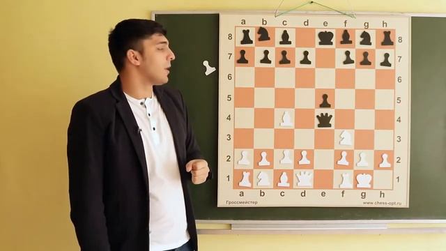 Шахматы. Принципы дебюта смотреть онлайн