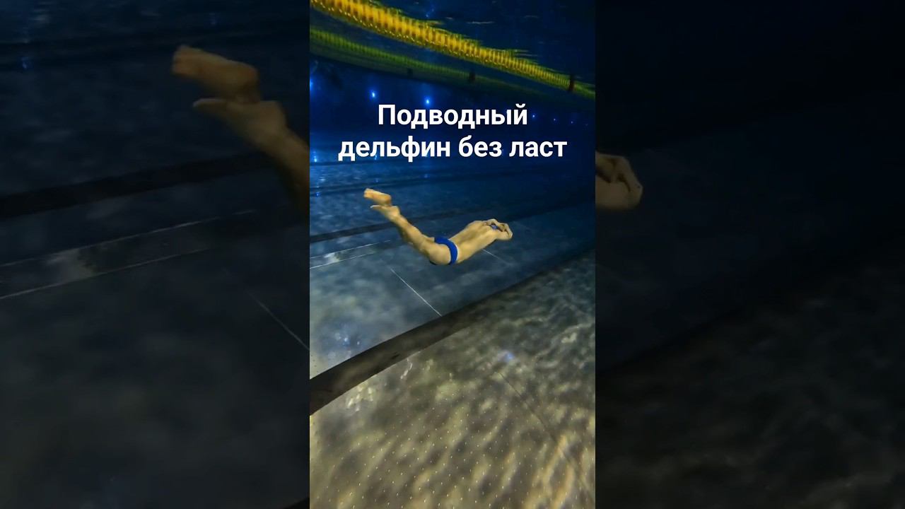 Подводный дельфин без ласт - упражнение для улучшения чувствования гребка в моноласте. #фридайвинг смотреть онлайн