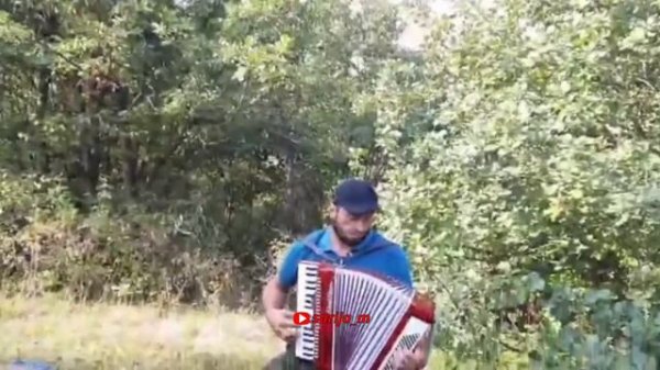 Даргинская песня. Заур Алибеков