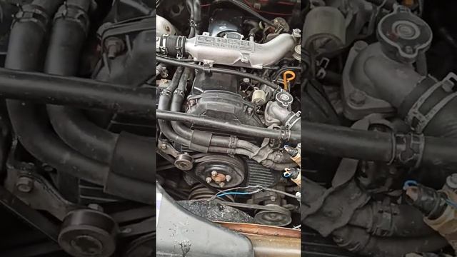 2LTE Не развивала давление масло смотреть онлайн