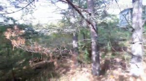 Чёрный Мыс. Чёрные копатели. Чёрное золото кулайской культуры.