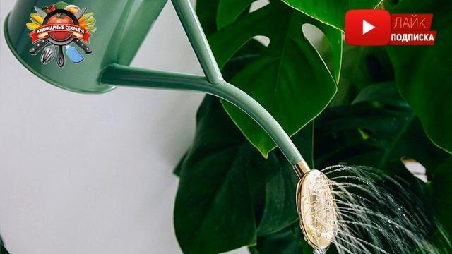 После варки макарон воду не выливаю: ее можно использовать! смотреть онлайн