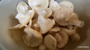 Стряпаем Груздяные Пельмени! Лес кормит.