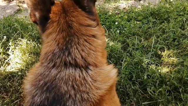 Мой РАГДАЙ 🤗 смотреть онлайн