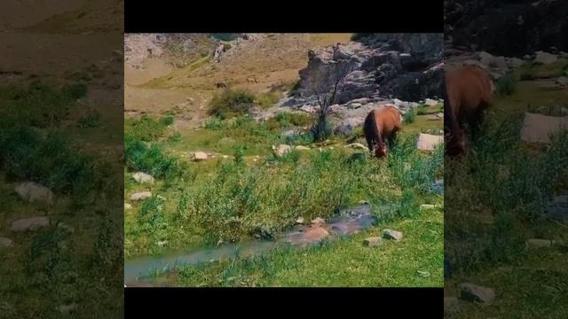 Рудник Коксу/Жетісу облысы смотреть онлайн