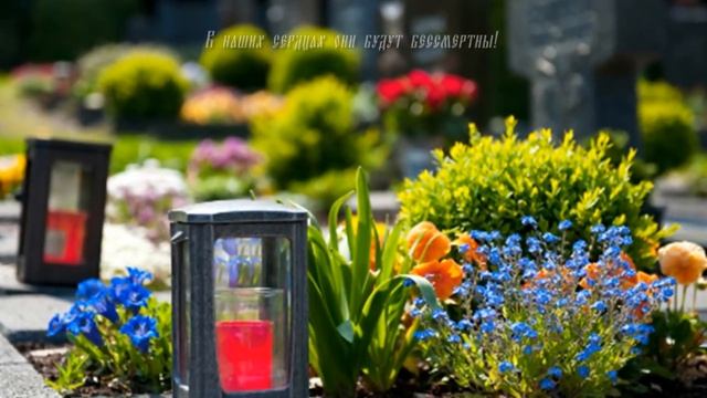 РАДОНИЦА. Помните об ушедших, но, думайте о живых .mp4 смотреть онлайн