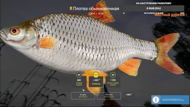 Трофейная плотва на Комарином озере. Троф плотвы. Русская Рыбалка 4. РР4. Огромная плотва. ВПК. RF4 смотреть онлайн