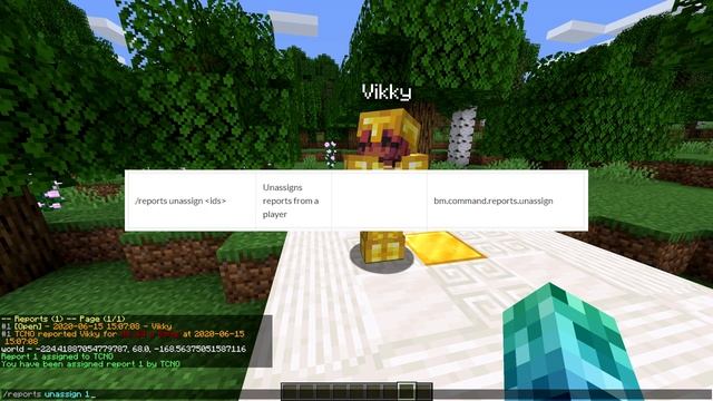 How To Install And Use The BanManager Plugin - Minecraft Java
