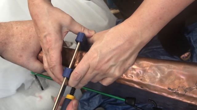 Turtle Screen wrapping around frame Victoria Lansford смотреть онлайн