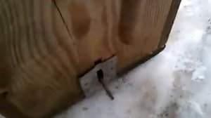 живоловушка на куницу