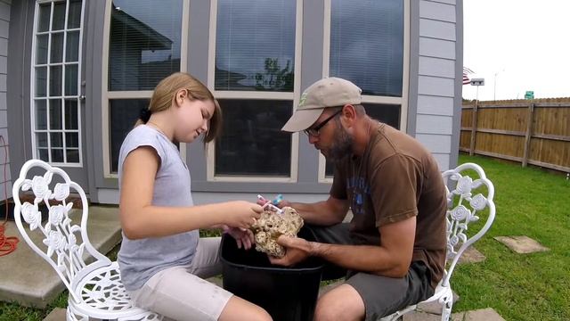 Episode 100 - Cleaning Dry Live Rock. смотреть онлайн