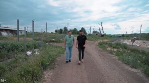 Бизнес в деревне. Как выращивать гусей. Гусиная ферма