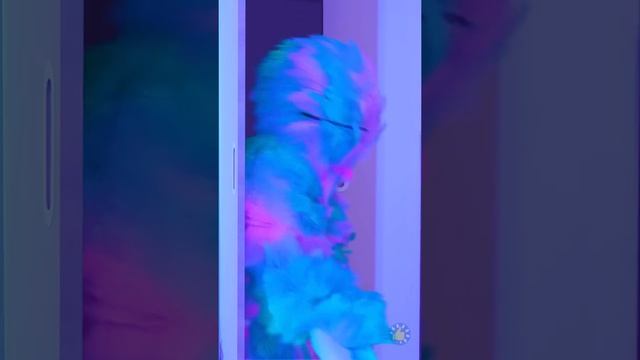 КАК РАЗВЛЕЧЬ ДЕТЕЙ, КОГДА ВАМ НУЖНО РАБОТАТЬ || УМНЫЕ ЛАЙФХАКИ ДЛЯ РОДИТЕЛЕЙ смотреть онлайн