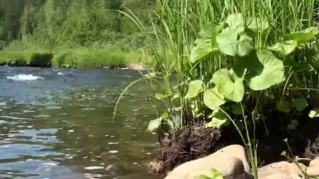 Красоты Усть-Илимска (шк №15) смотреть онлайн