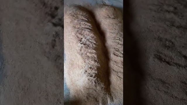 Ферментация отрубей смотреть онлайн