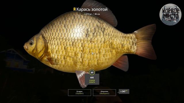 Русская рыбалка 4 - Фарм серебра для новичков | оз. Комариное Карась |- рр4 троф карась комариное смотреть онлайн