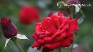 22 апреля День Вадима. Что нельзя делать 22 апреля. Народные традиции и приметы