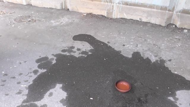 Заливаем горящий бензин водой. смотреть онлайн