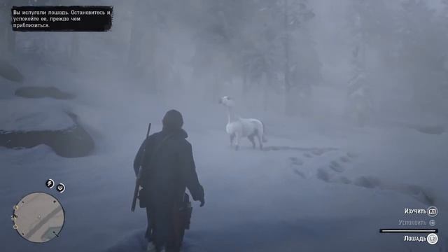 КАК НАЙТИ САМУЮ ЛУЧШУЮ ЛОШАДЬ RED DEAD REDEMPTION 2 / АРАБСКИЙ СКАКУН В  RD2