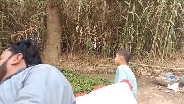 Allah Mehnat Ka Silla Deta Hae/Maryam Ne Hamen Surprise Dia смотреть онлайн