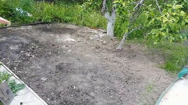 Отчаянный эксперимент или Газон НЕ по правилам смотреть онлайн