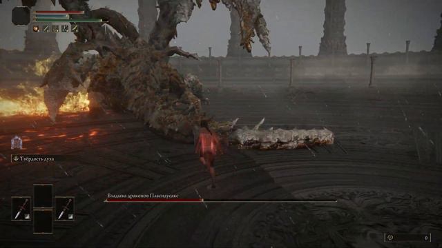 Пласидусакс Без Урона Уровень 1 [Dragonlord Placidusax Lvl1, No Damage] смотреть онлайн