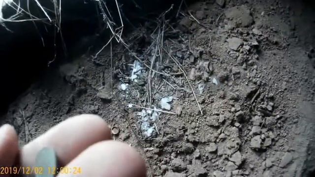 Поиск в заброшенных домах, ищем монеты! смотреть онлайн