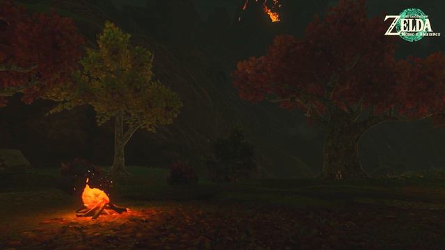 Calm Nintendo Games Music With Cozy Zelda Campfire Ambience & Music