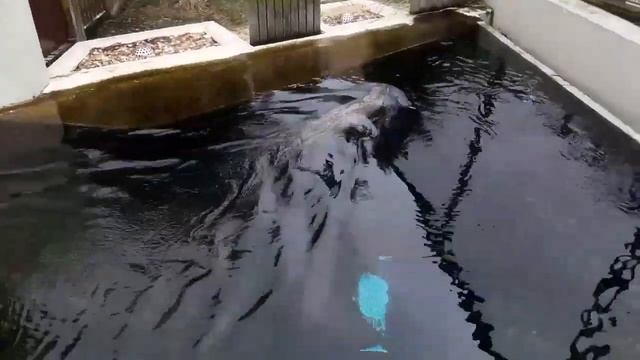 Дортмунд, Германия | Dortmund, Germany. Европа. смотреть онлайн