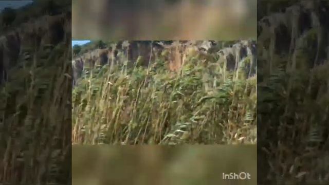 Турция 2020. Озеро Дальян и река протока Дальян. Ликийские гробницы. Черепаховый пляж. смотреть онлайн