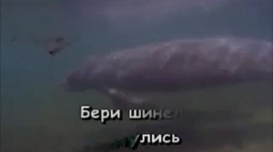 Бери шинель, пошли домой караоке