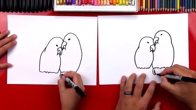 How To Draw Lovebirds