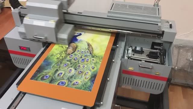 УФ принтер FS-4060uv печать рельефного изображения с применением выборочной лакировки смотреть онлайн