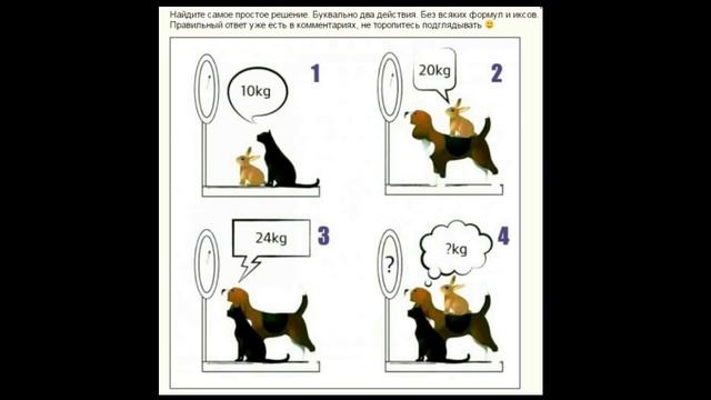 Загадка. Сколько весят животные? смотреть онлайн