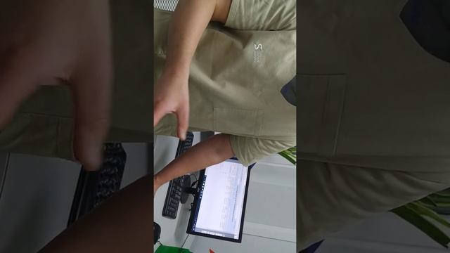 2 Белла САС 28 янв 2020 смотреть онлайн