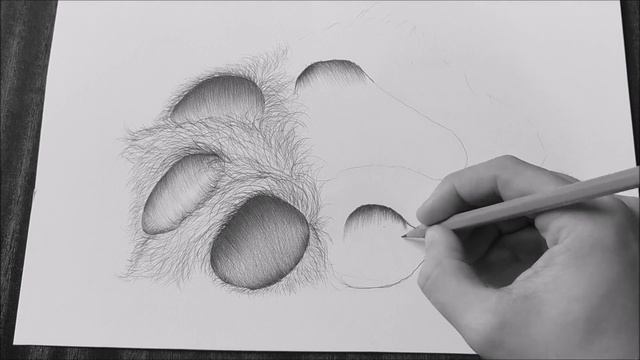 How To Draw A Dog Paw Step By Step смотреть онлайн