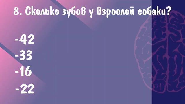 Тест на общие знания # 10. Проверь себя! смотреть онлайн
