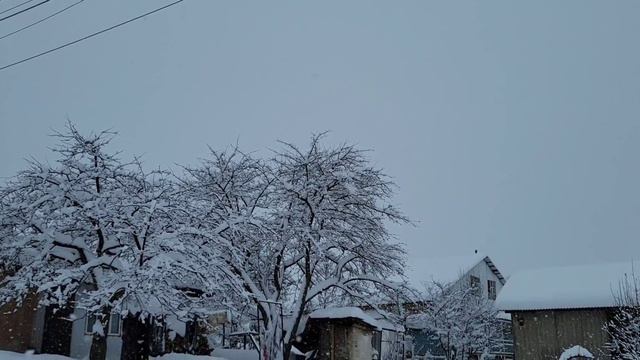 Цунтинский район.С.Хупри.6.02.2024 г. смотреть онлайн
