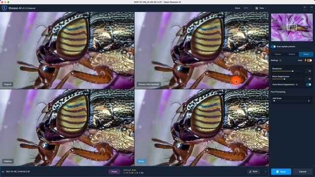 Topaz Labs AI Tools - Getting Started... смотреть онлайн