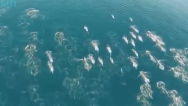 10 НАСТОЯЩИХ РУСАЛОК СНЯТЫХ НА КАМЕРУ смотреть онлайн