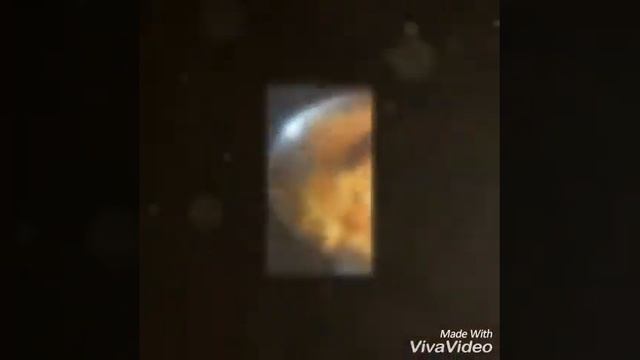 казакша долма смотреть онлайн