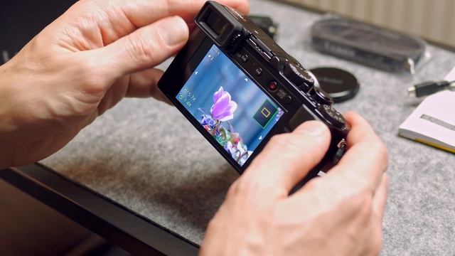 Panasonic Lumix LX100 II - Photo Stories Review (NL) смотреть онлайн