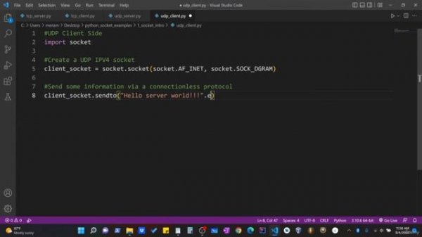 Python Socket Programming Tutorial for Beginners