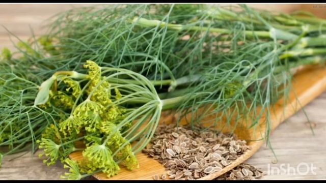 лучшие семена в мире! смотреть онлайн